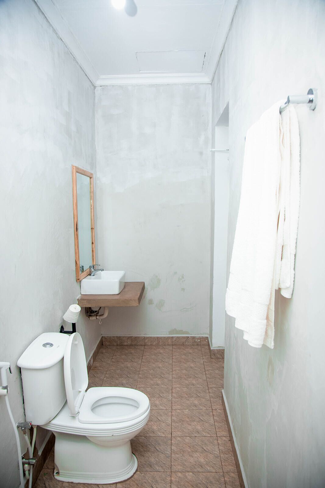 A small, narrow bathroom with a toilet, sink, and mirror.