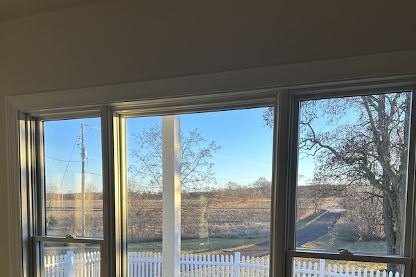 Front of house views