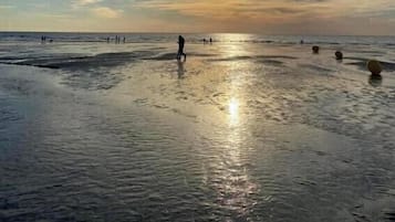 Accommodatie ligt op het strand