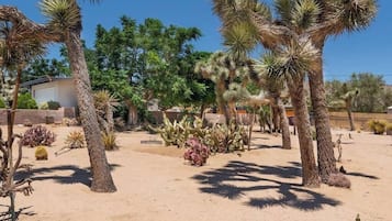 A desert garden with various cacti and palm trees, a building in the background, and a clear blue sky.