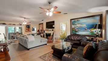 TV connectée, cheminée, livres, médiathÚque