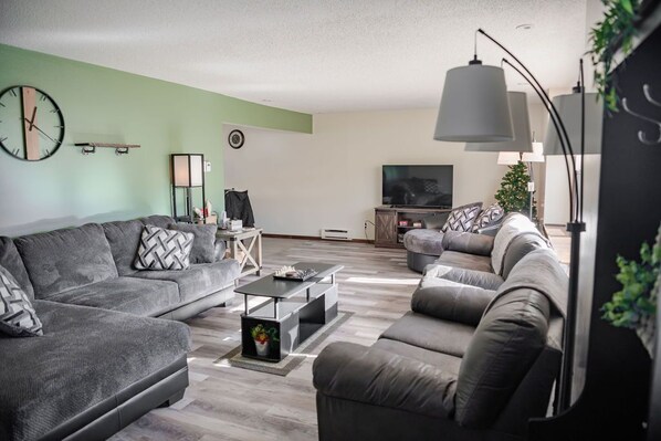 Smart TV, fireplace, table football, books