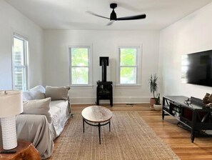 Smart TV, fireplace, books, music library