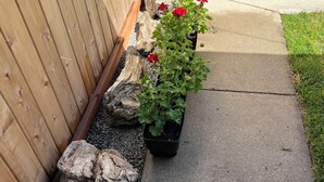 A garden bed with plants and rocks. - Cozy cottage in downtown Hamilton in the heart of the Bitterroot Valley.  (Hamilton)