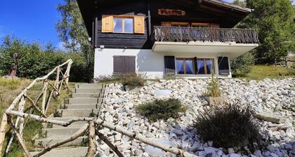 Mountain Home One - Connected to the Mountains!