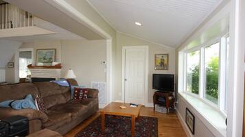 Smart TV, fireplace, DVD player, books