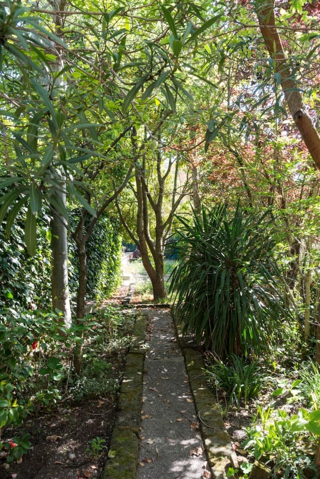 Um caminho de pedra ladeado por vegetação exuberante e árvores, que conduz a um jardim.
