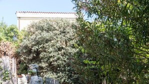 A stone pathway leading to a building with a tiled roof, surrounded by lush greenery and statues. - Canal Views and a Secret Garden in Giudecca (Venezia)