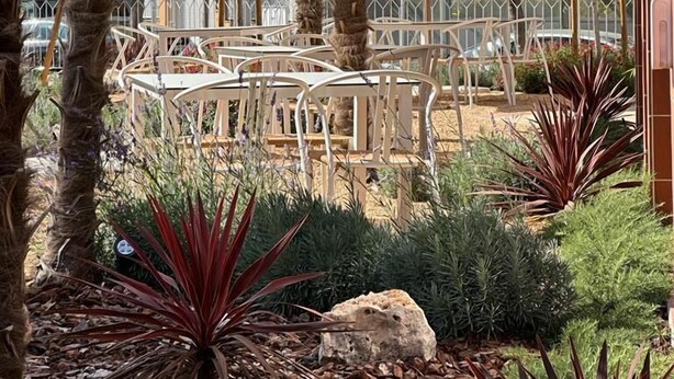 An outdoor seating area with tables and umbrellas, surrounded by palm trees and various plants. - Aparthotel Terra Aurea (Salou)