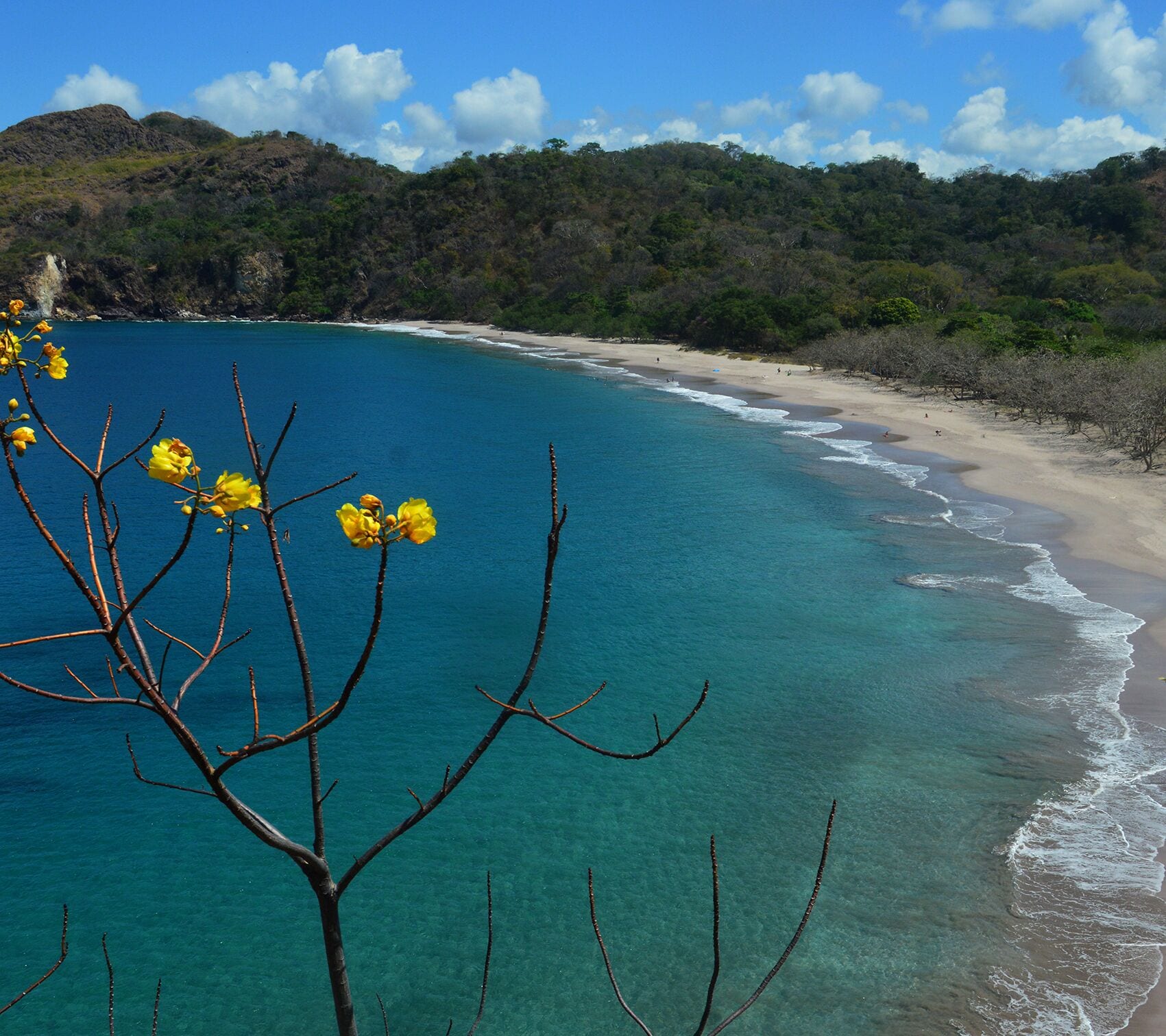 Foto - Hotel Tama Lodge