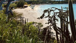 Une plage bordée de cactus, un ciel dégagé et des maisons en arrière-plan.