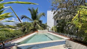 A rectangular swimming pool with blue-tiled steps leading into it, surrounded by palm trees and a building in the background. - Bosque de los Aluxes by BVR (Playa del Carmen)