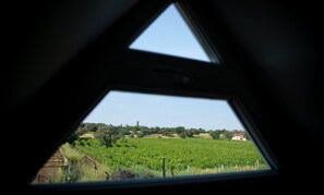Iris Evi