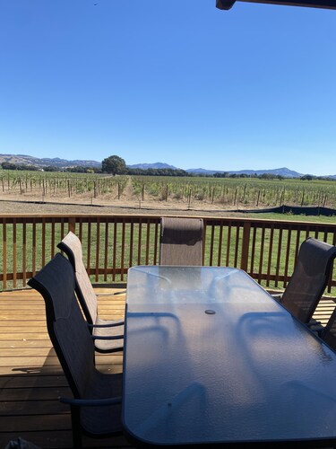 NEW!  Charming Vineyard Cottage in the heart of the Russian river wine country!