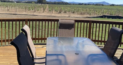 NEW! Charming Vineyard Cottage in the heart of the Russian river wine country!
