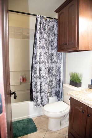 Shower, hair dryer