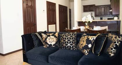 2BD 2BT Apartment 1 Min to University UTRGV