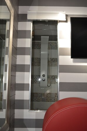 Regadera, secadora de cabello, bidet, toallas