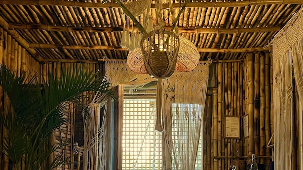 A room with a bamboo ceiling, a hanging macrame chandelier, a large potted plant, and a woven rug. - IL CAMPO Ecolodge & Boutique Hotel (Giza)