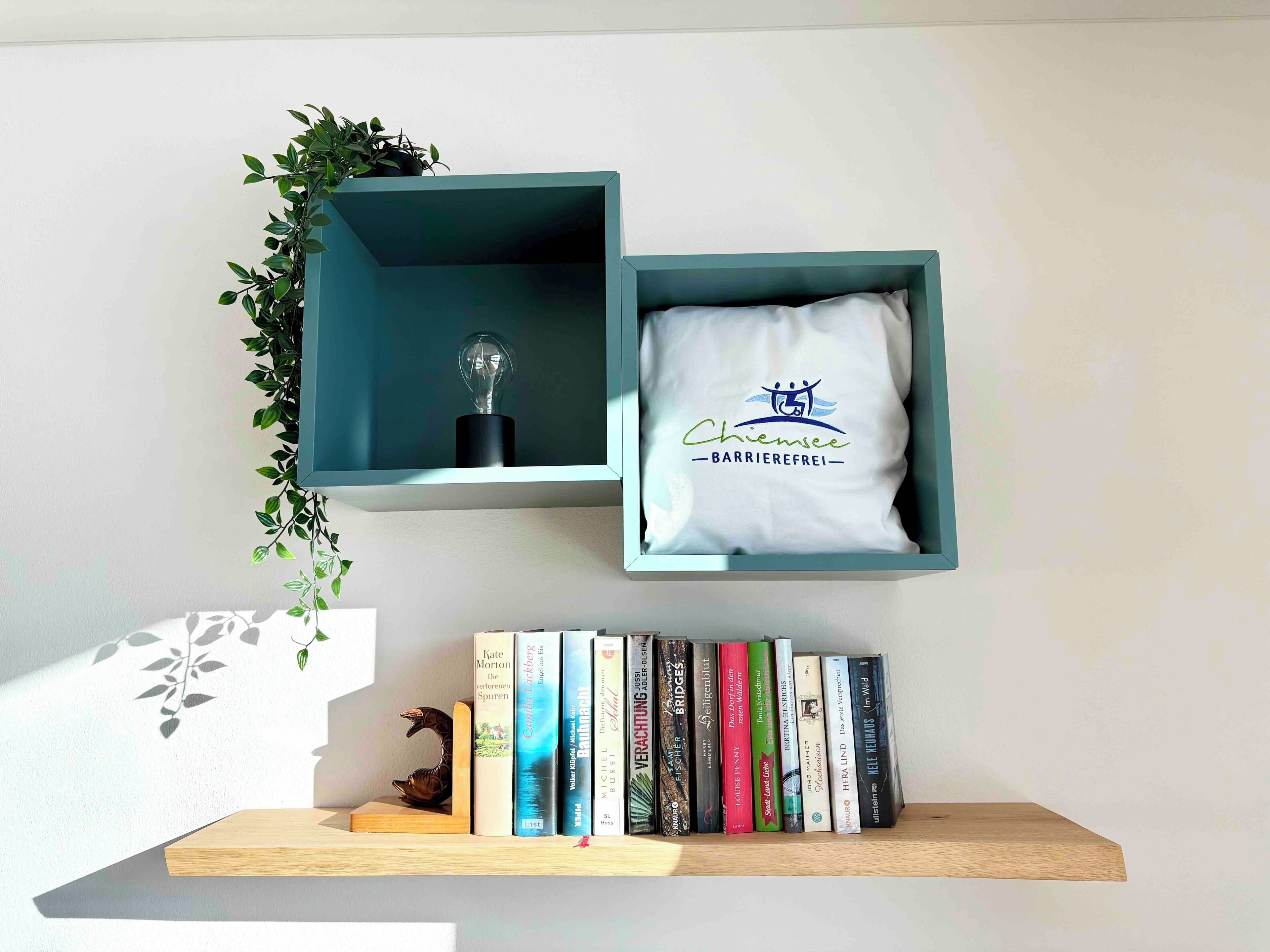 A shelf with books and a pillow with a logo.