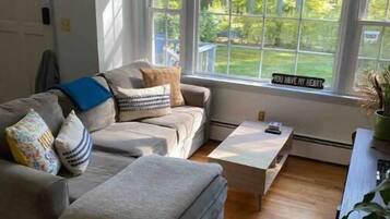 Smart TV, computer monitors