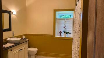 Hair dryer, towels, soap, toilet paper