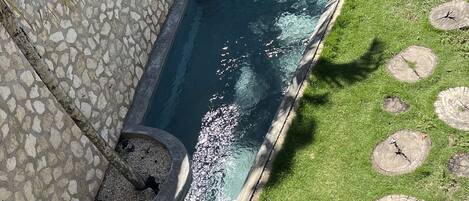 Una piscina con un muro de piedra y palmeras.
