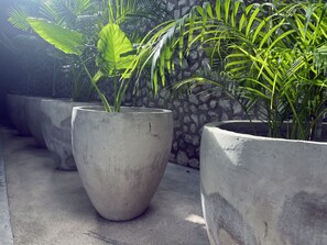Terrace/patio - BAU Tulum (Tulum)
