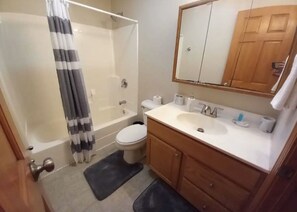 Towels, soap, toilet paper - Central IL Homestead  (Wenona)