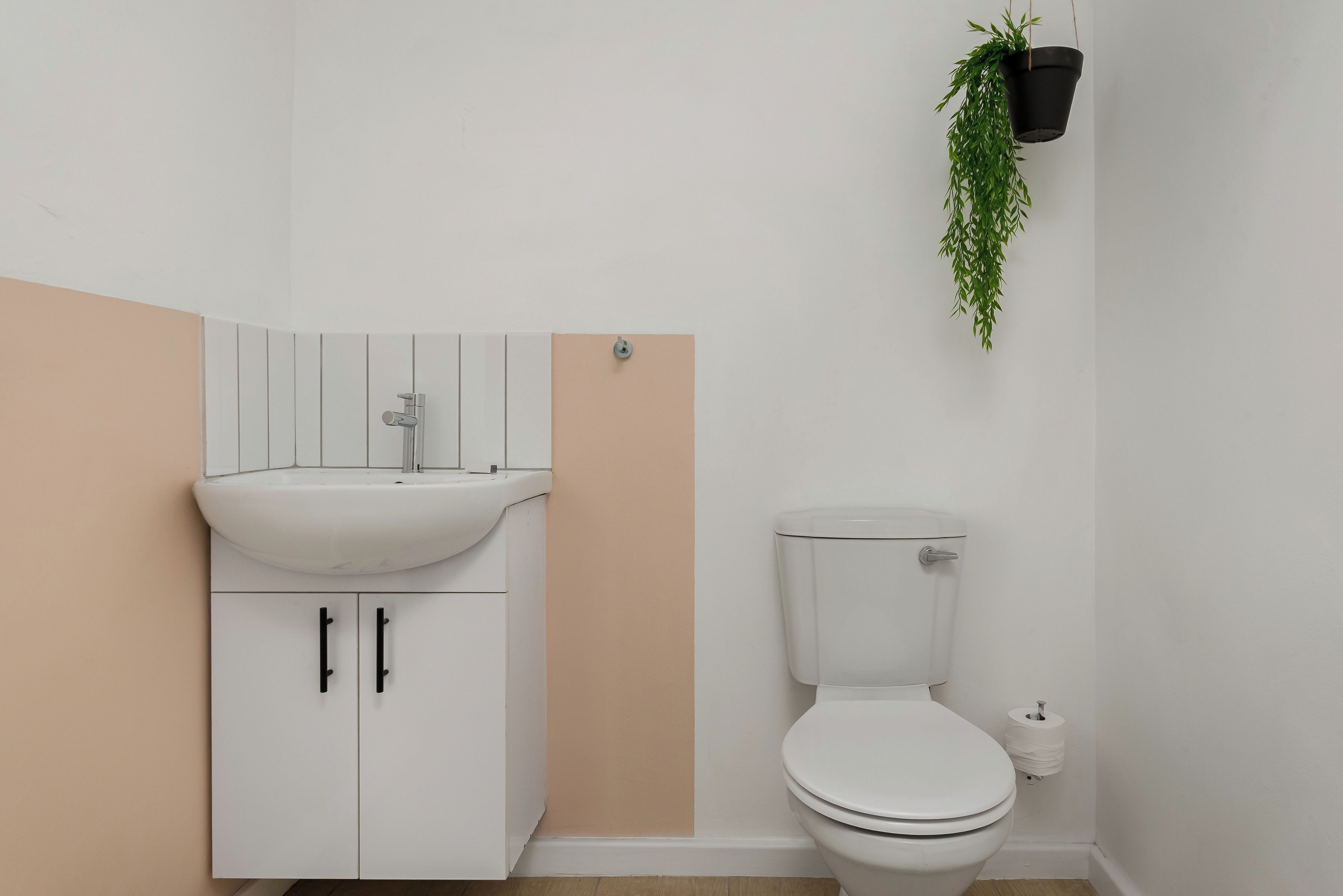 A bathroom with a white sink, a toilet, and a hanging plant.