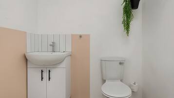 A bathroom with a white sink, a toilet, and a hanging plant.