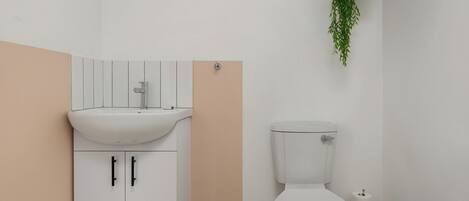 A bathroom with a white sink, a toilet, and a hanging plant.