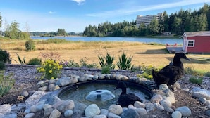 A pond surrounded by rocks and plants, with a lake and buildings in the background. - Peaceful Beachfront Cottage - Large Deck & Fire Pit - Gorgeous Views & Wildlife (Bremerton)