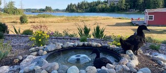 Peaceful Beachfront Cottage - Large Deck & Fire Pit - Gorgeous Views & Wildlife