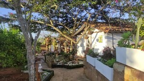 A garden with a stone pathway, potted plants, and a white wall with hanging planters.