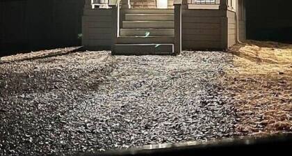 Waterfowl Cottage at KY Lake