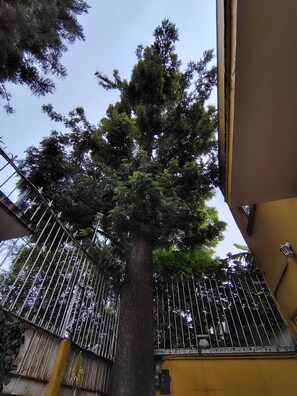 Terrain de l’hébergement 