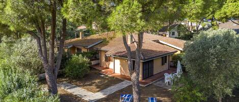 المنطقة المحيطة بالمنشأة