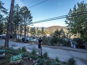 Servicio de la propiedad