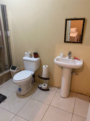 Een douche, een haardroger, handdoeken, zeep