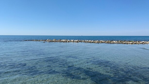 Una vista despejada de una costa rocosa con aguas tranquilas que se extienden hasta el horizonte.
