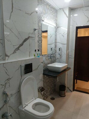 Hair dryer, towels, soap, shampoo - Hotel Jheel Mahal Twin Bed (Udaipur)