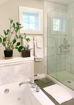 Shower - Bright, modern, spacious south end 5-bedroom home
 (South Burlington)