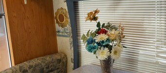 Camper in Dandridge. Close to the Smoky Mountains and Dollywood 