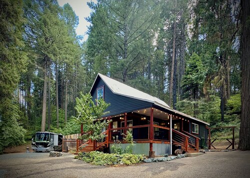Forest Mountain Cabin, minutes to Downtown, trails, rivers & lakes
