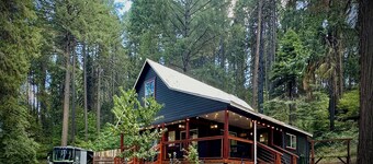 Forest Mountain Cabin, minutes to Downtown, trails, rivers & lakes