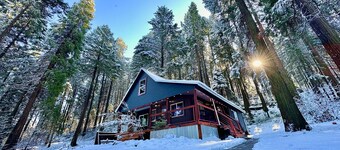 Forest Mountain Cabin, minutes to Downtown, trails, rivers & lakes