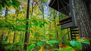 Bosque con una cabaña de madera que cuenta con una escalera espiral y una plataforma de observación.