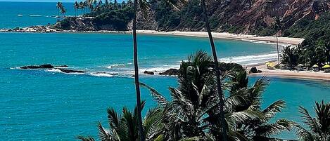 A coastal landscape with palm trees, a beach, and a rocky cliff.