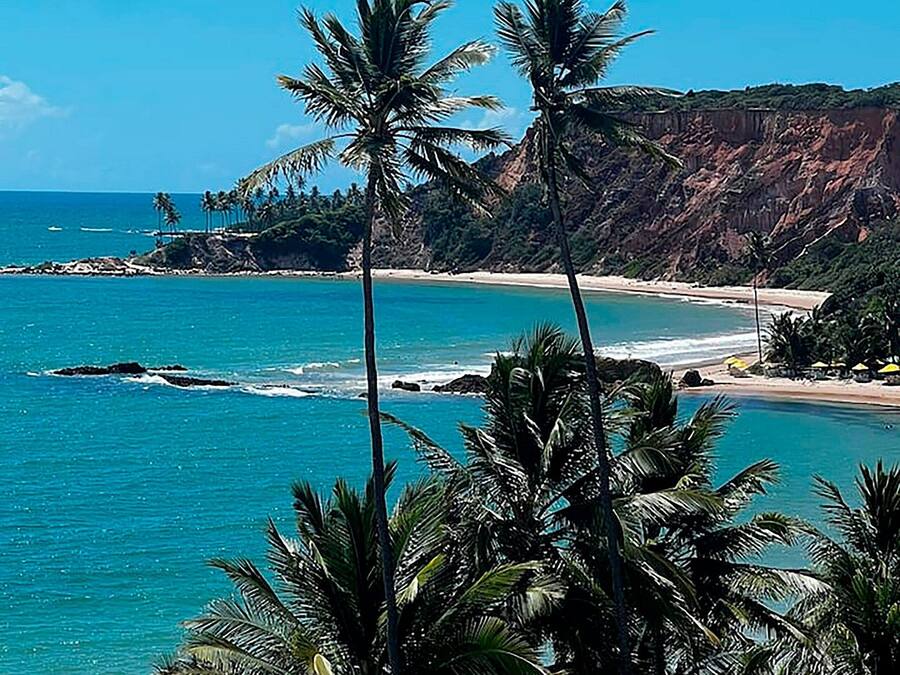 Un paysage côtier avec des palmiers, une plage et une falaise rocheuse.